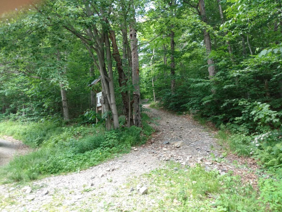 Mountain Retreat Vila Wilmington Exterior foto